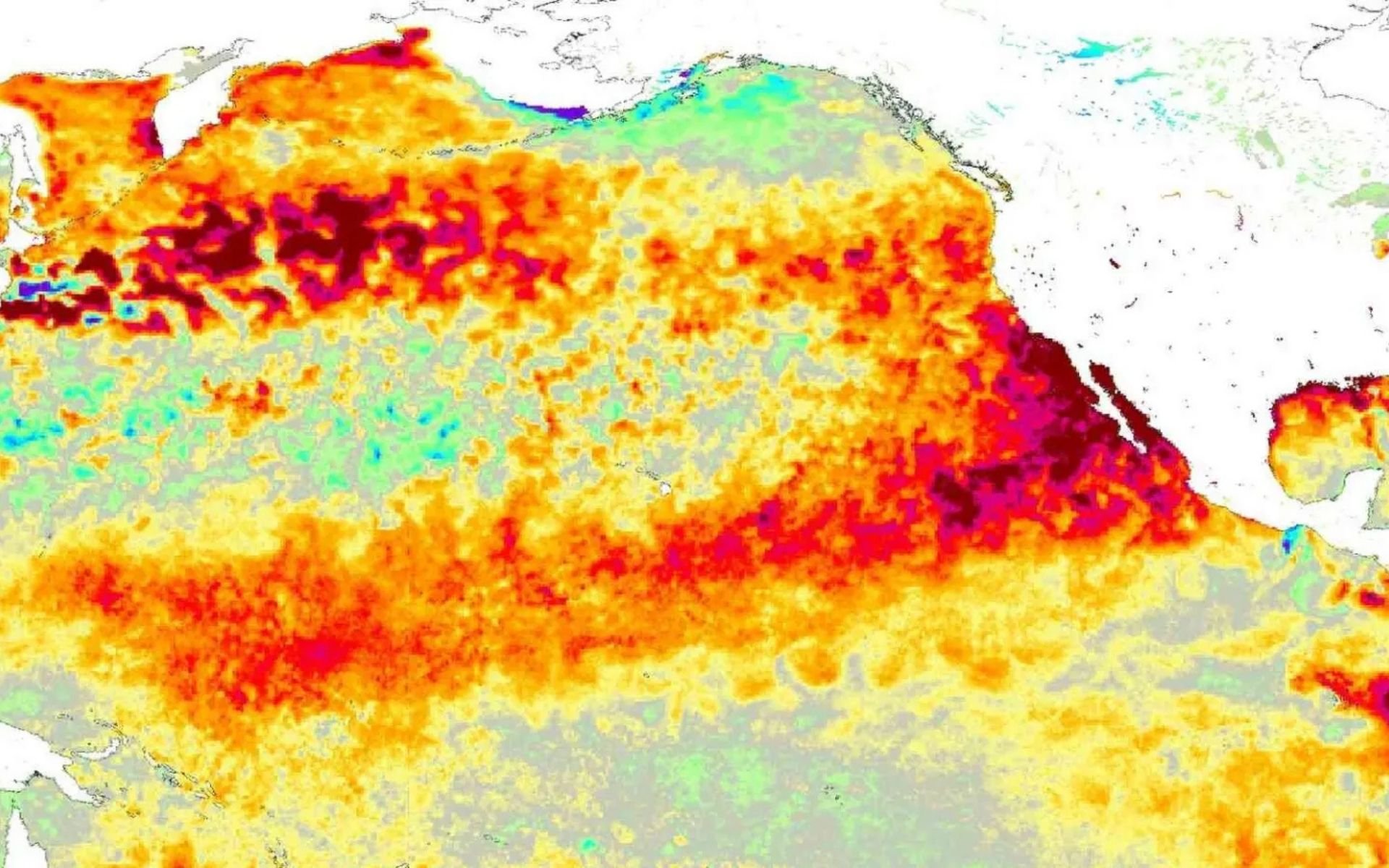 Novo alerta sobre El Ni&ntilde;o em 2026: Onda de calor mar&iacute;tima preocupa meteorologistas; entenda