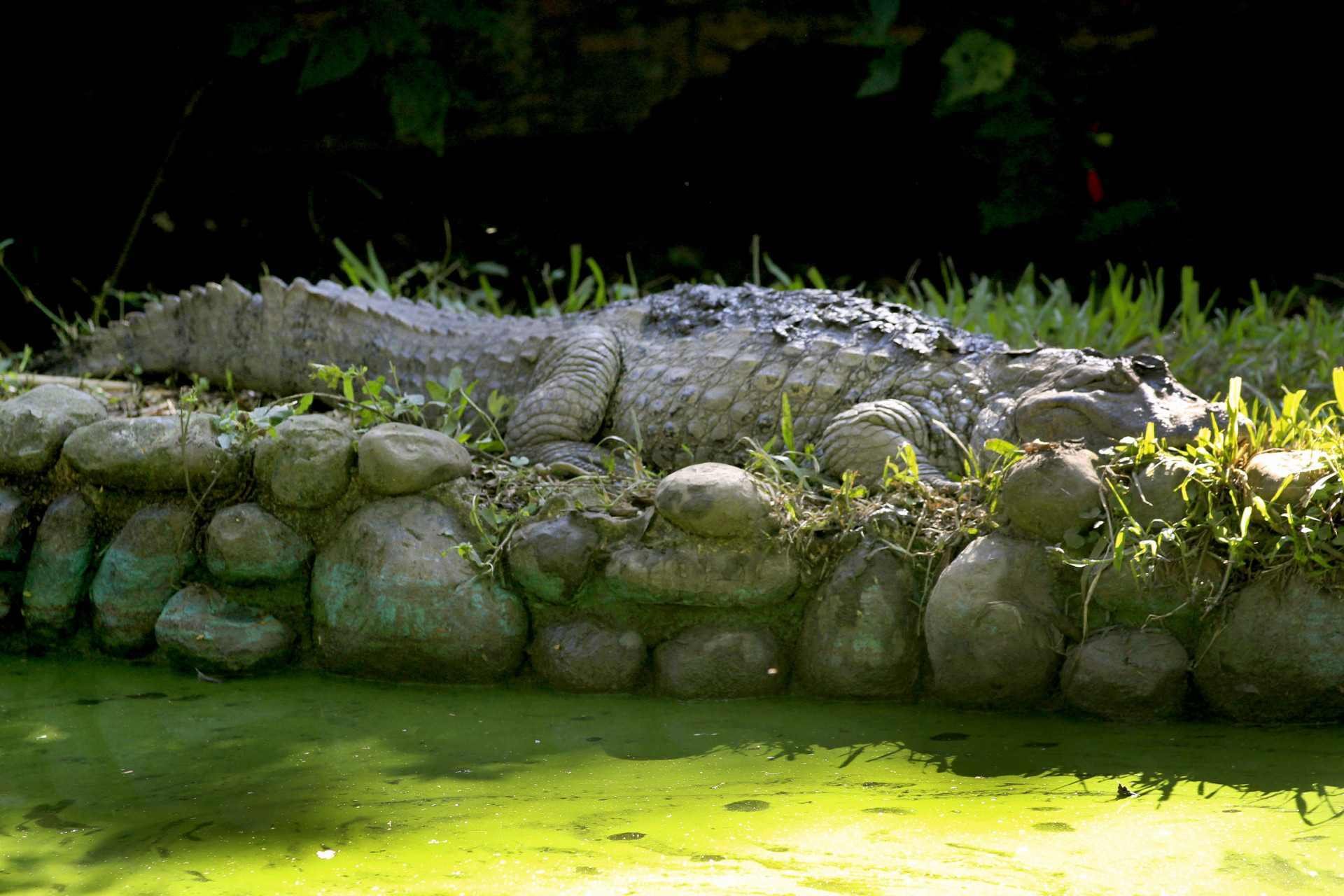 29/04/26 ZOOLÓGICO