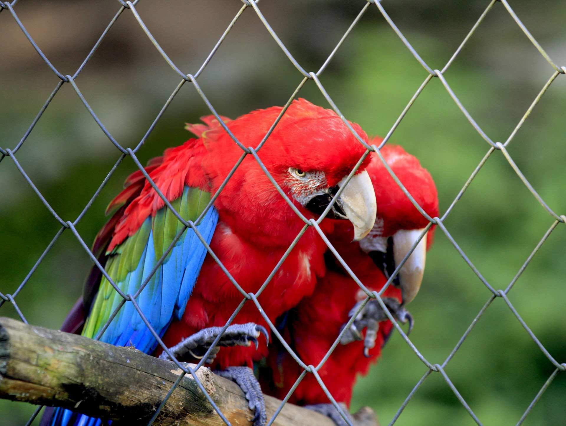 29/04/26 ZOOLÓGICO