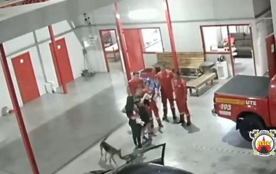 VÍDEO: Bombeiros de Três Coroas auxiliam no desengasgo de bebê