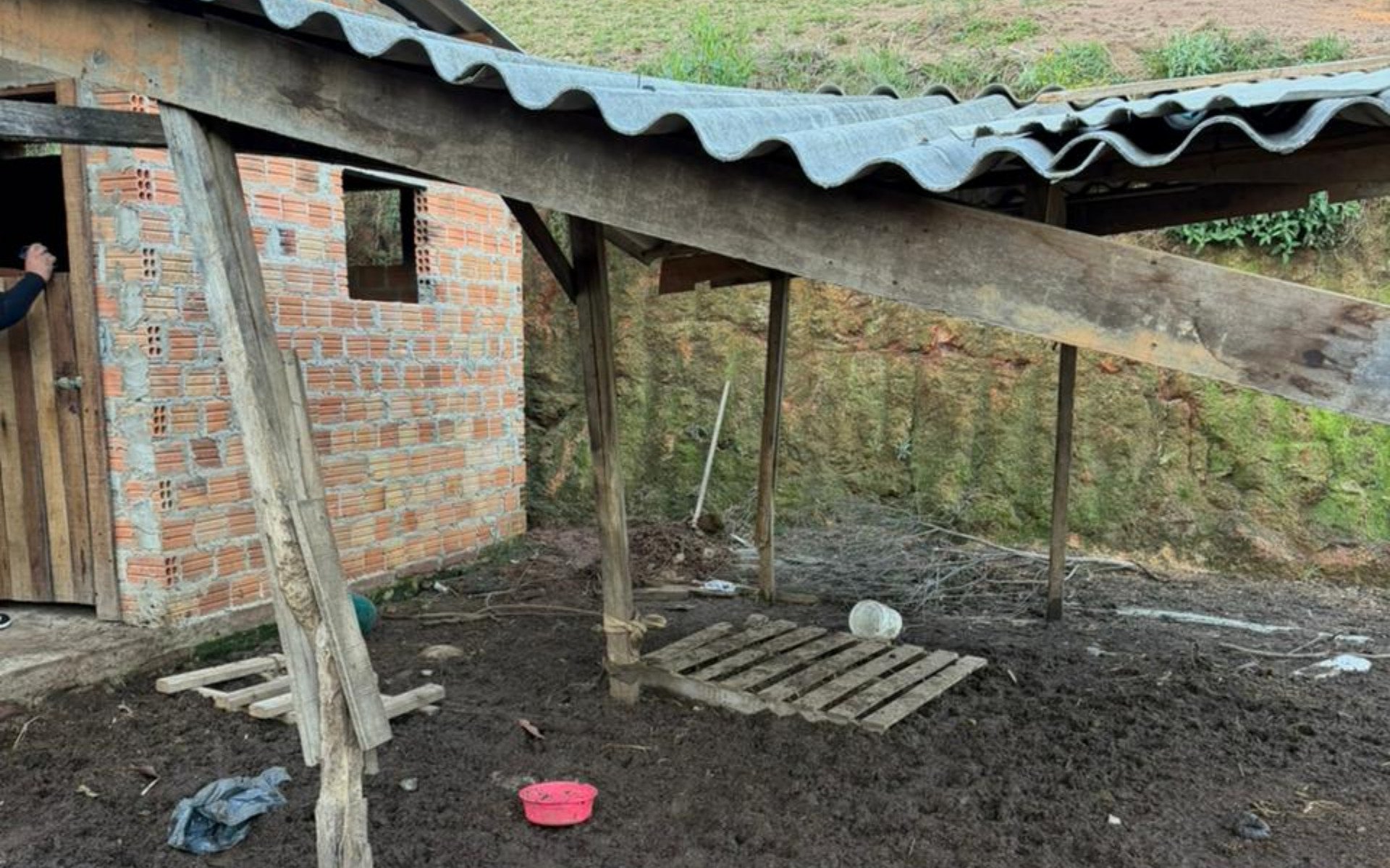 Foram cumpridos mandados de busca e apreensão na casa da mulher