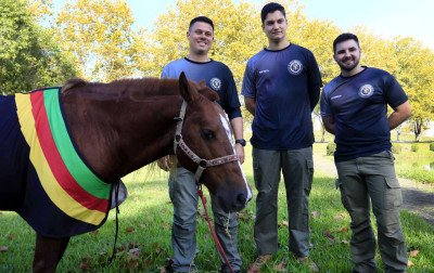 VÍDEO: Voluntários que resgataram o Caramelo visitam o cavalo em Canoas