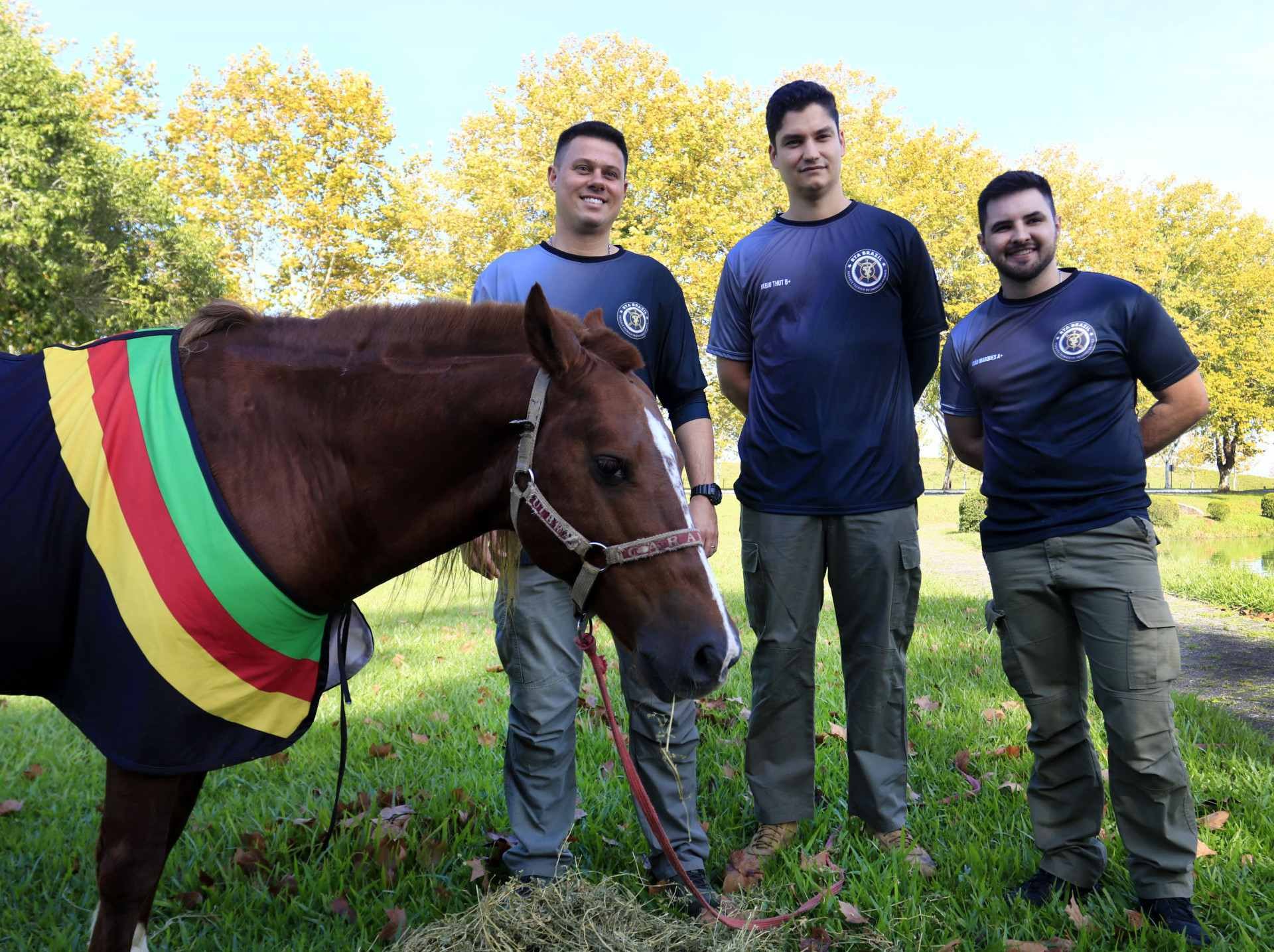 V&Iacute;DEO: Volunt&aacute;rios que resgataram o Caramelo visitam o cavalo em Canoas