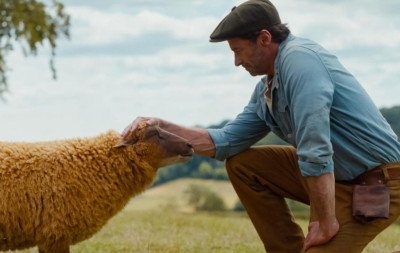 Após anos como Wolverine, Hugh Jackman vira pastor de ovelhas detetives em novo filme bizarro: "Nunca vi nada parecido"
