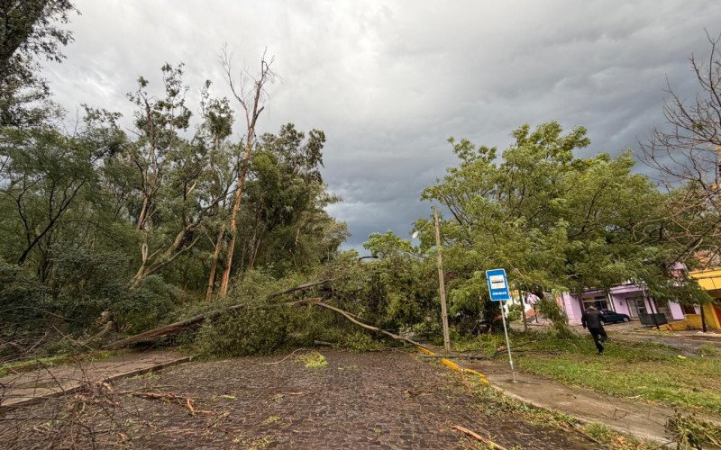 Muita destruição foi registrada em todos os bairros de Santana do Livramento