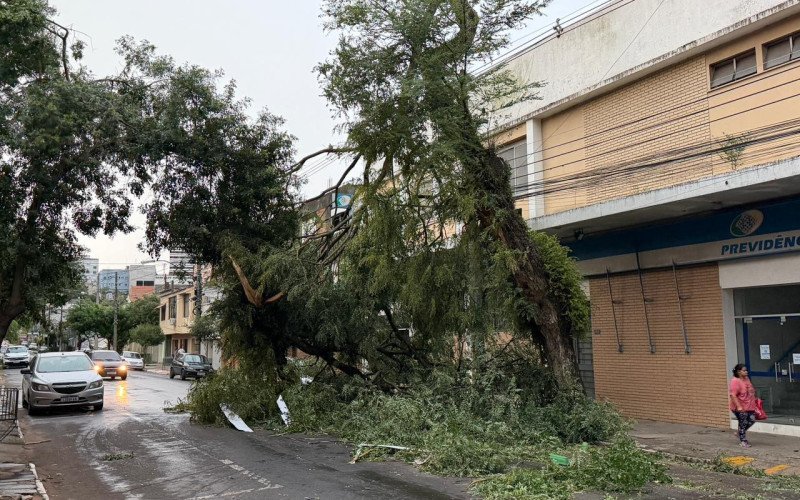 Muita destruição foi registrada em todos os bairros de Santana do Livramento