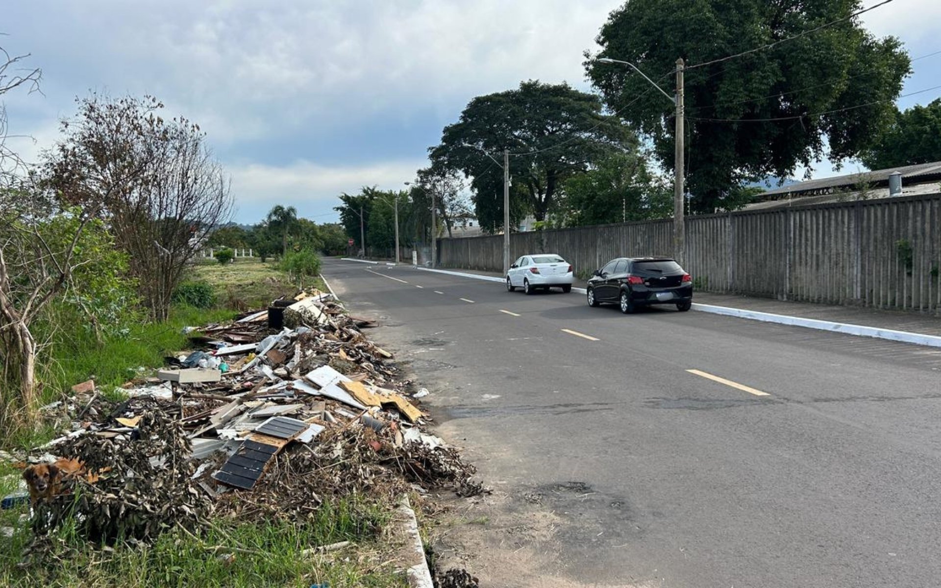 VÍDEO: Contêineres de lixo queimados em ato de vandalismo causam prejuízo de até R$ 10 mil em Novo Hamburgo