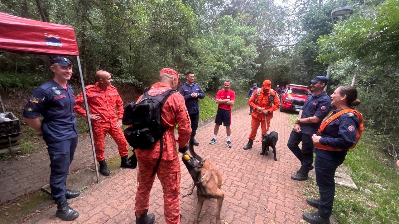 Cães passam por provas em Novo Hamburgo para integrar o Corpo de Bombeiros
