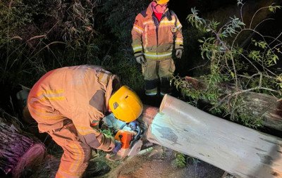 Municípios gaúchos relatam estragos em razão do vento e da chuva; rajadas ultrapassaram 80 km/h em algumas cidades
