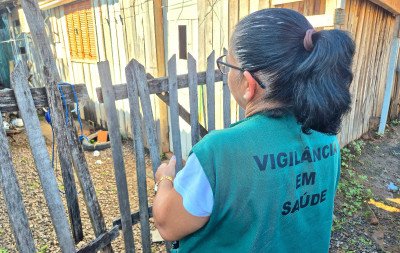 São Leopoldo inicia novo levantamento para verificar focos do mosquito da dengue