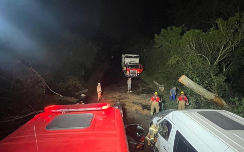 Árvore de grande porte caiu sobre a frente do veículo