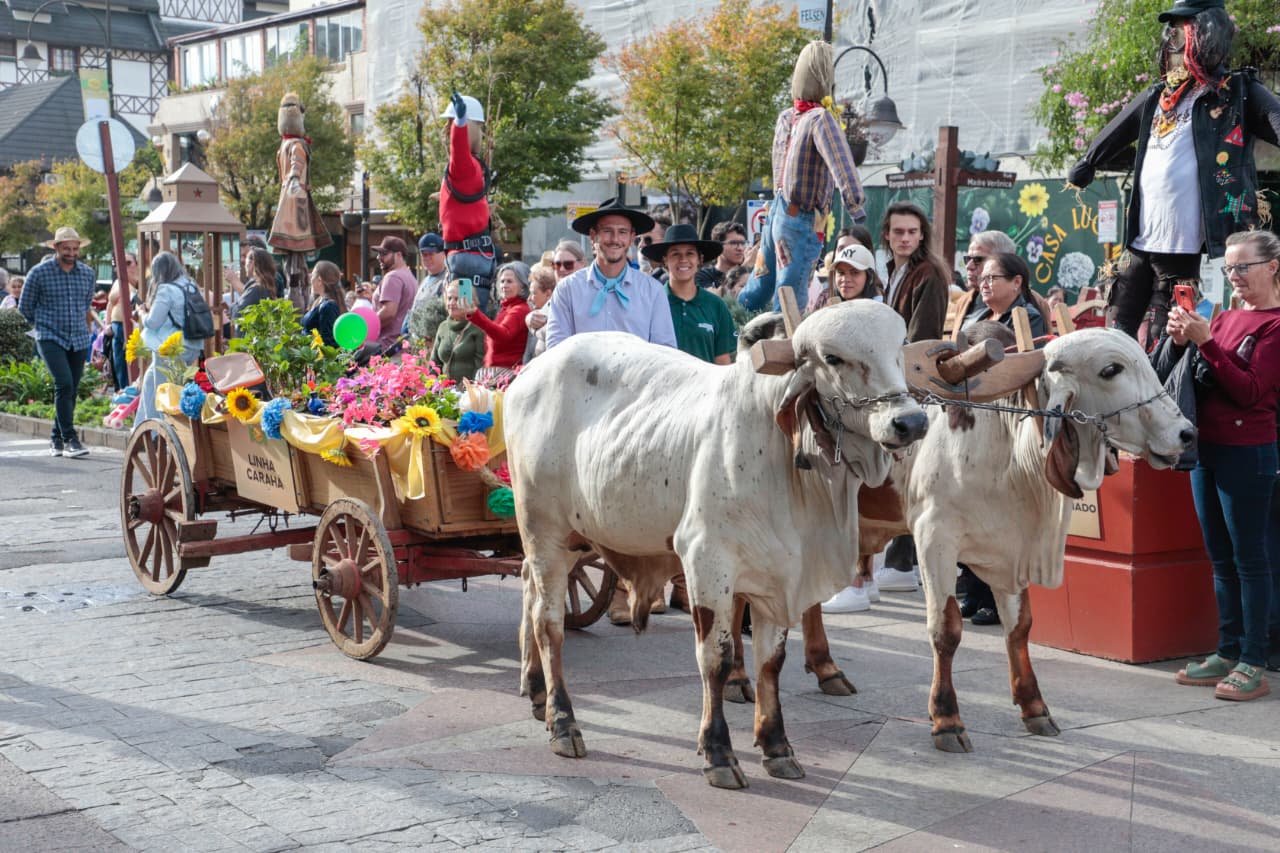 FESTA DA COL&Ocirc;NIA: Desfile contar&aacute; com mais de 30 carretas puxadas por bois