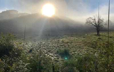 Primeira onda de frio do ano chega ao RS: Mínima prevista é de até -5ºC; veja os dias mais gelados