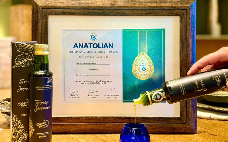 Olivas de Gramado conquista ouro na Turquia, "terra natal" do azeite de oliva