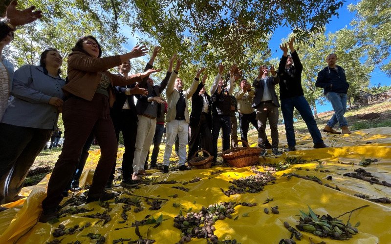 Abertura Oficial da Colheita em Nova Pádua teve a presença de pesquisadores e de produtores, que apresentaram os ganhos no pomar a partir do investimento em sistemas de irrigação | abc+