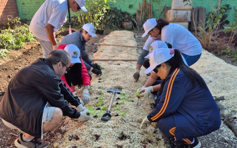 Projeto realizou primeiro Sistema Agroflorestal (SAF)