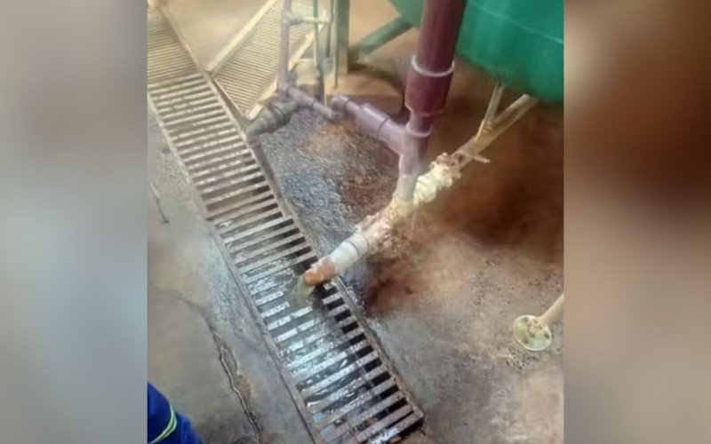 Imagens mostram inspeção sanitária realizada na fábrica da Ypê