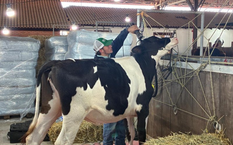 Abertura da Fenasul Expoleite é nesta quarta-feira

