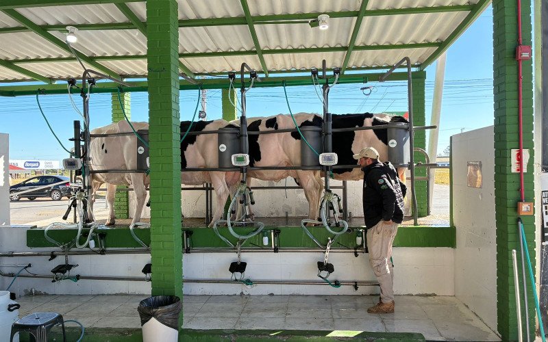 Abertura da Fenasul Expoleite é nesta quarta-feira
