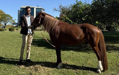 Cavalo Caramelo recebe visita do artista responsável pela escultura de quase 4 metros em homenagem ao animal