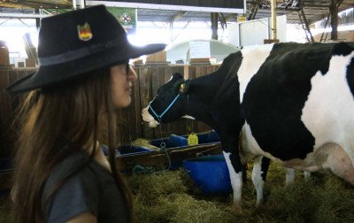 Fenasul Expoleite começa com defesa do produtor rural e expectativa de grande feira