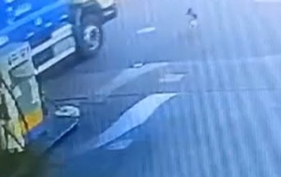 Motorista de caminhão de lixo que atropelou cachorro comunitário é demitido, diz prefeito