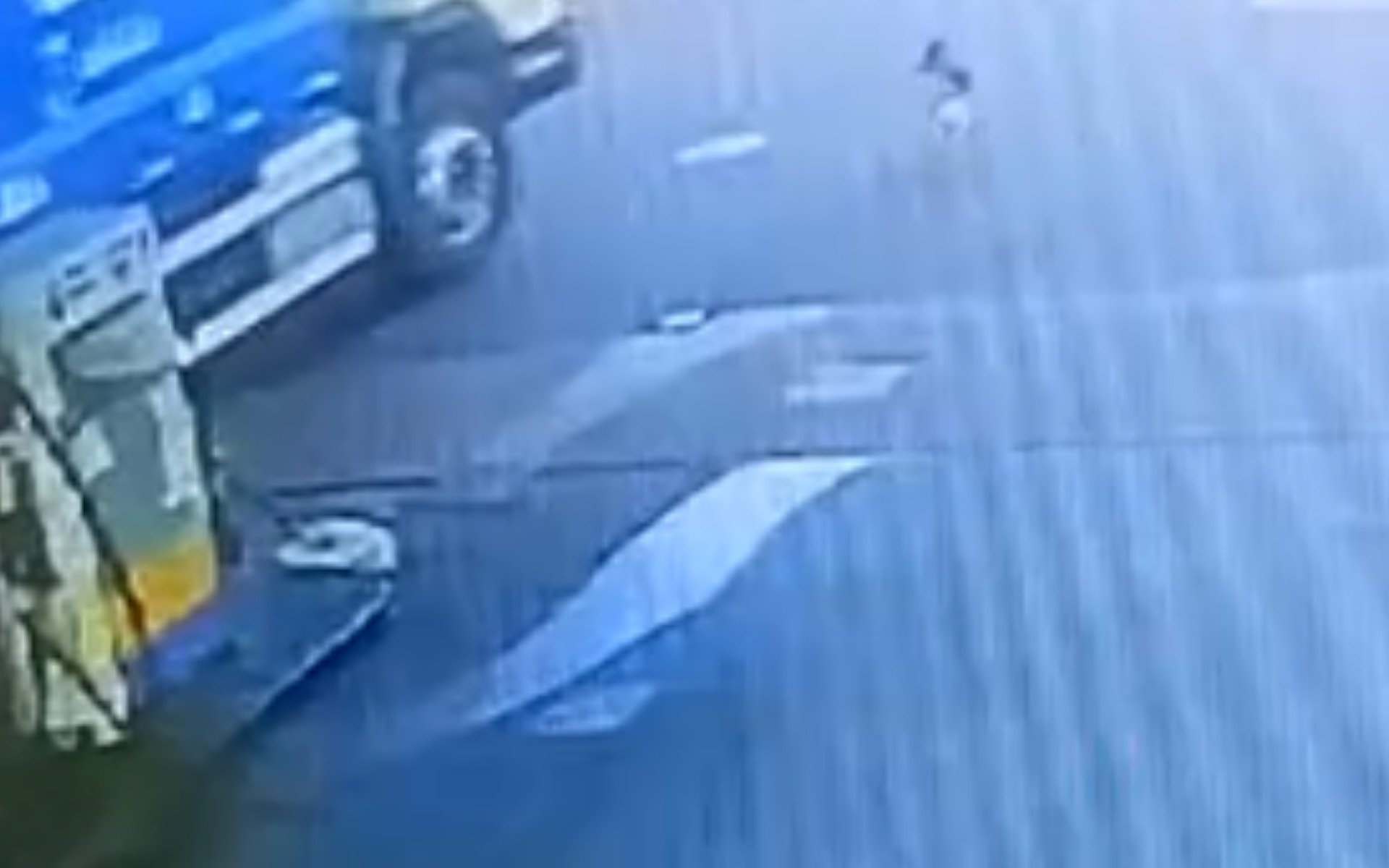 Motorista de caminhão de lixo que atropelou cachorro comunitário é demitido, diz prefeito
