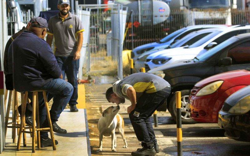 Cadela Matilda é centro das atenções no posto Buffon que fica às margens da BR-386, em Canoas  | abc+