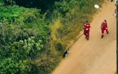 Buscas por idoso desaparecido mobilizam força-tarefa com cães e drone em Estância Velha