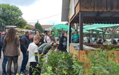 Secretaria do Meio Ambiente de Gramado tem doação histórica de mudas na Festa da Colônia
