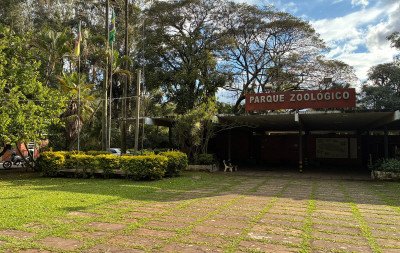 Morte de aves no Parque Zoológico de Sapucaia do Sul chega a 30