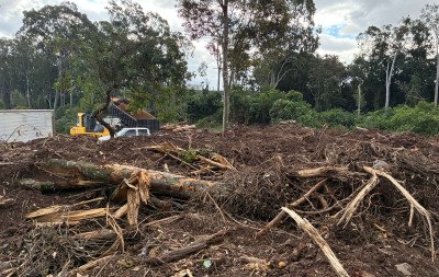 Corte de árvores em área da Reserva Florestal chama a atenção e causa polêmica no Vale do Sinos