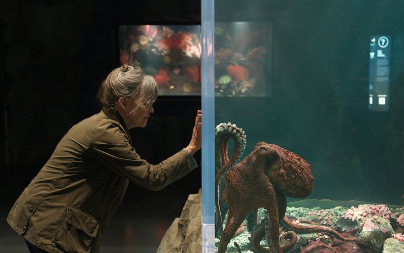 Filme Criaturas Extraordinariamente Brilhantes (2026) chegou ao top 10 em 64 países na Netflix | abc+