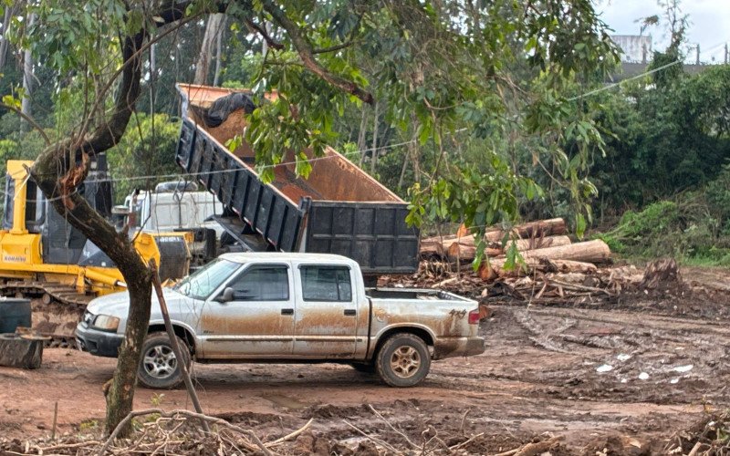 Árvores são derrubadas em área do Horto Florestal