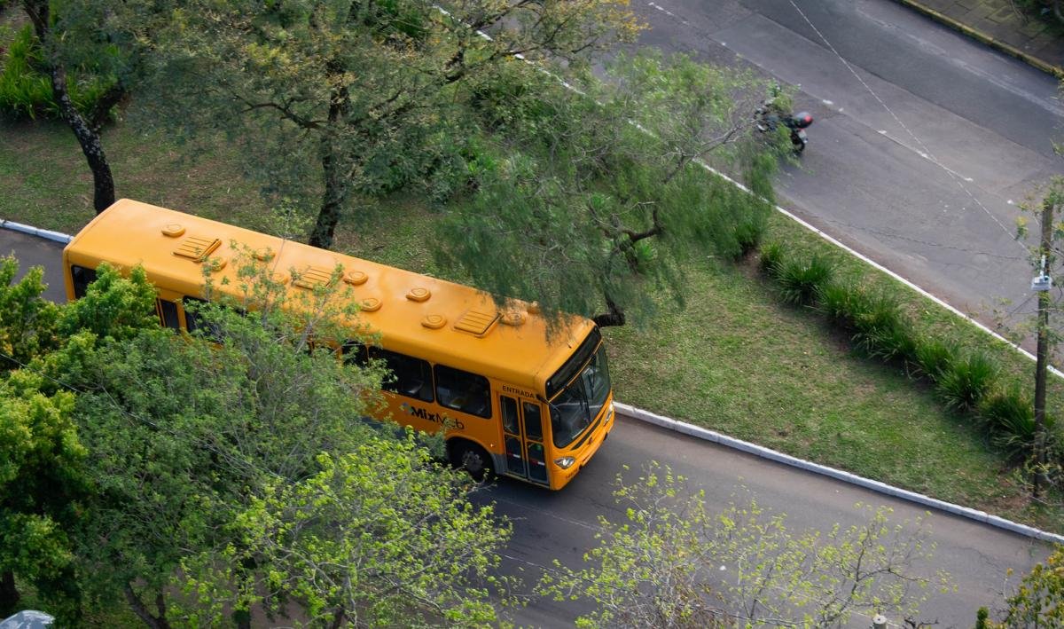 Seis linhas de ônibus terão mudanças no trajeto em Novo Hamburgo; saiba a partir de quando