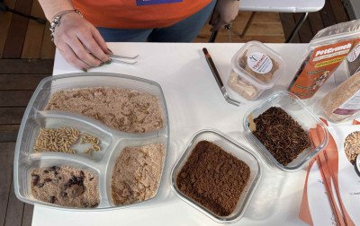De maquiagem a proteína de inseto: Campo Bom Expo. Summit estreia com inovação em diferentes áreas