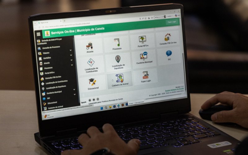 Prefeitura de Canela passa a oferecer cadastro online para castração animal gratuita