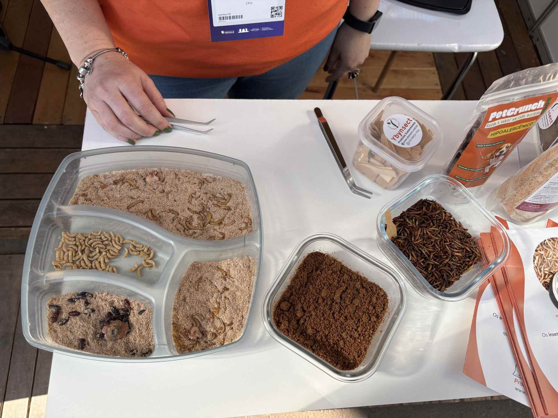 De maquiagem a proteína de inseto: Campo Bom Expo. Summit estreia com inovação em diferentes áreas