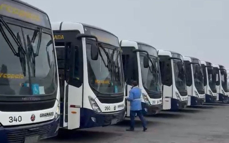 Novos ônibus do transporte público de Gramado