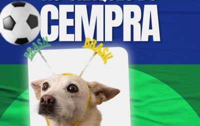 Cães do Cempra Canela se tornam "aucraques" em campanha inspirada em álbuns de figurinha da Copa do Mundo