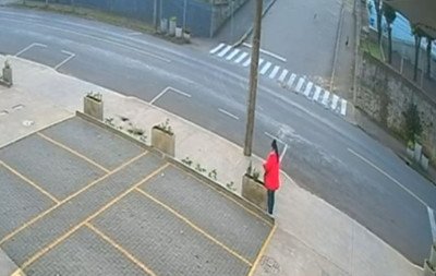 VÍDEO: Nem flores decorativas escapam de furtos em Ivoti; assista aos flagrantes