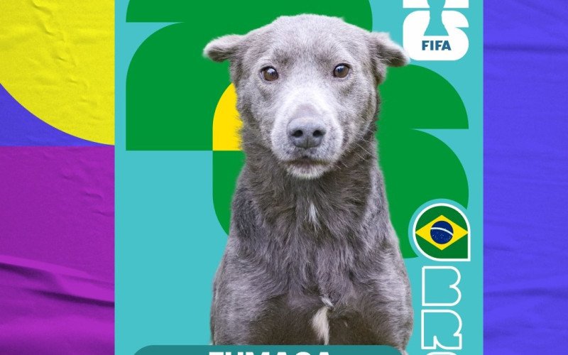 Cards de cães para adoção são inspirados nas figurinhas do álbum da Copa do Mundo