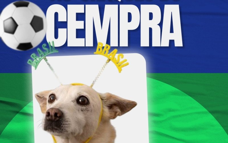Cards de cães para adoção são inspirados nas figurinhas do álbum da Copa do Mundo