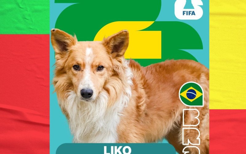 Cards de cães para adoção são inspirados nas figurinhas do álbum da Copa do Mundo