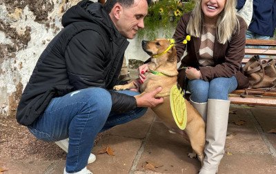 VÍDEO: Caramelo resgatado das enchentes faz sucesso e vira atração como "Cachorro-Abelha" na Feira do Mel, Rosca e Nata
