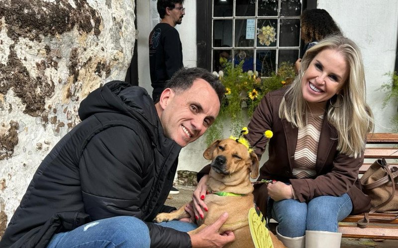 "Cachorro-Abelha" faz sucesso na Feira da Mel, Rosca e Nata  | abc+