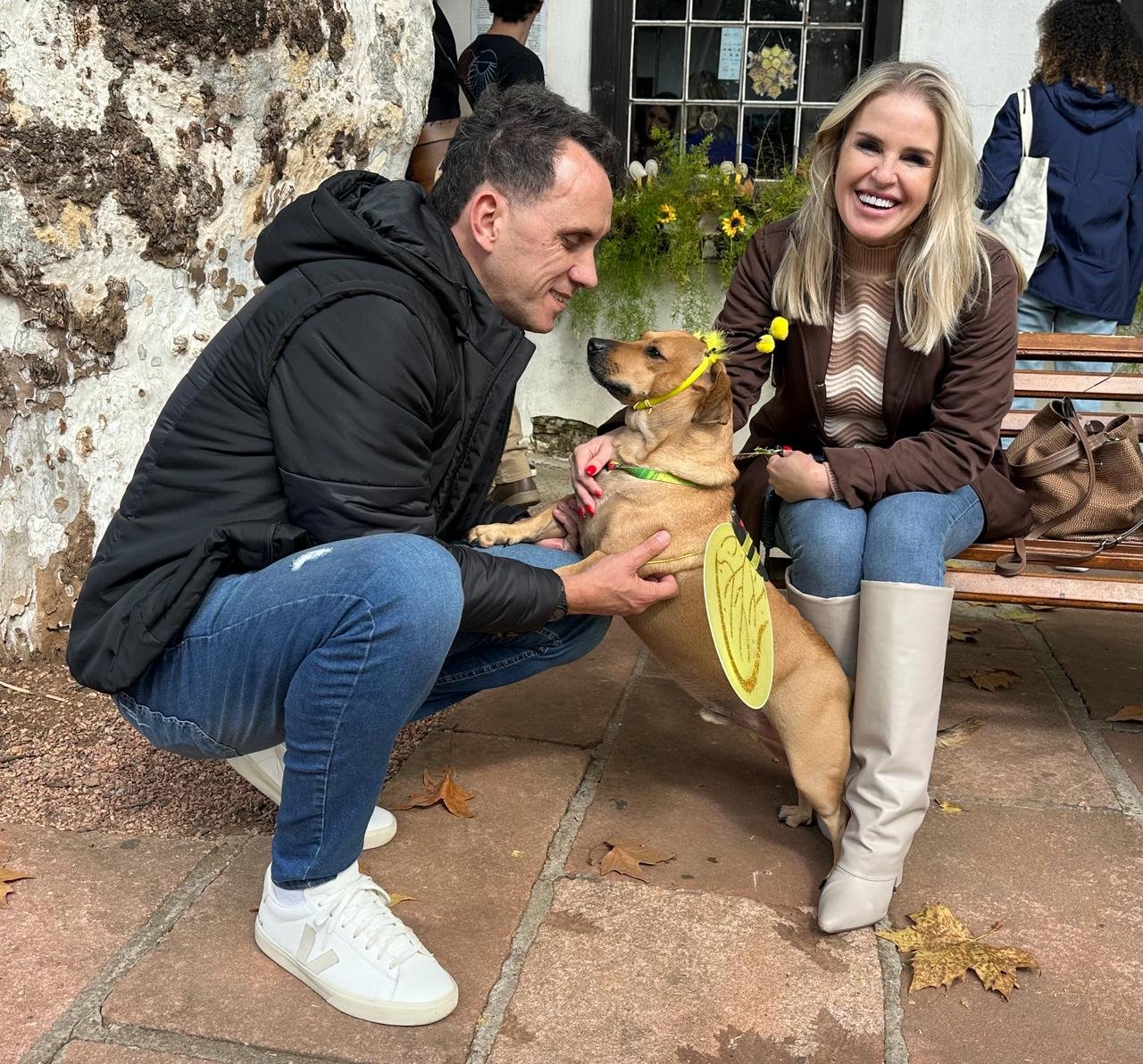 V&Iacute;DEO: Caramelo resgatado das enchentes faz sucesso e vira atra&ccedil;&atilde;o como &ldquo;Cachorro-Abelha&rdquo; na Feira do Mel, Rosca e Nata