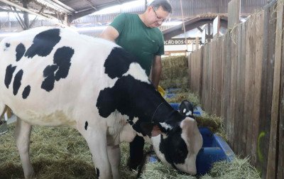 Melhoramento genético: a chave para aplacar custos na produção leiteira