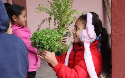 Nova Petrópolis promove ao longo de junho programação especial pelo meio ambiente; confira