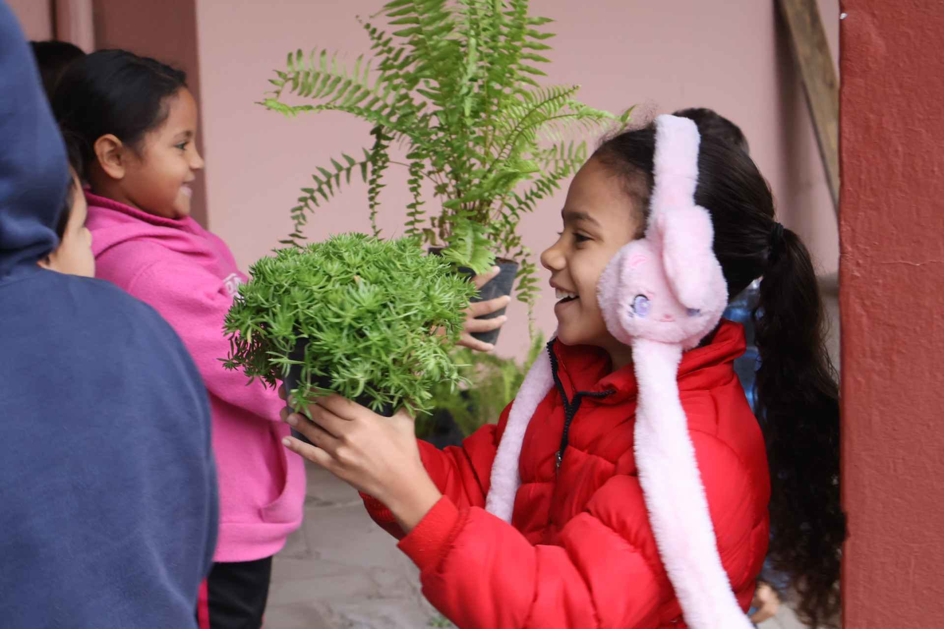 Nova Petr&oacute;polis promove ao longo de junho programa&ccedil;&atilde;o especial pelo meio ambiente; confira